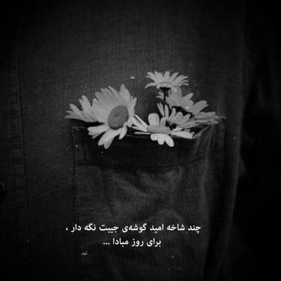 آهنگ تو شمع باشی دلم پروانته دوس داره تورو تو هر حالتت