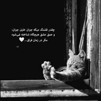 آهنگ تو بخوان شب همه شب برایم ای مرغ سحر