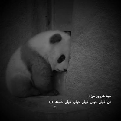 آهنگ تو یه پناهی تو مثل فرصت آخری تو ته راهی