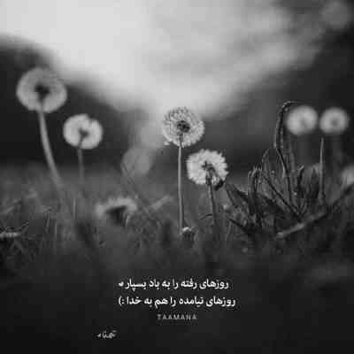 آهنگ چی میشه تکست بدی الان بهم بگی دوباره زندگیم سلام