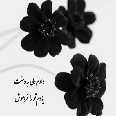 آهنگ از چشات قول میگیرم دیگه غیر من هیچکسیو نبینه