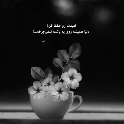 آهنگ وقتشه کم کم بیرون بری از قلبم