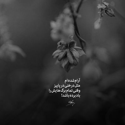 آهنگ یکی بیاد گردن بگیره خرابی و شکستگیمو