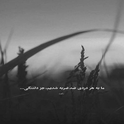 آهنگ منه سفر نکوشته صد تا خطر نکوشته