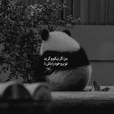 آهنگ بعد تو مگه میشه بازم به کسی دل بست