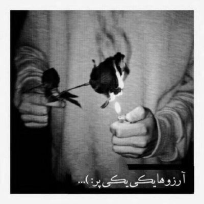 آهنگ ملکه قصر دلم پایتخت نشین قلبم