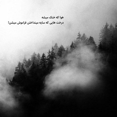 آهنگ یار دلمه باب دلمه تو بده راه به دلم