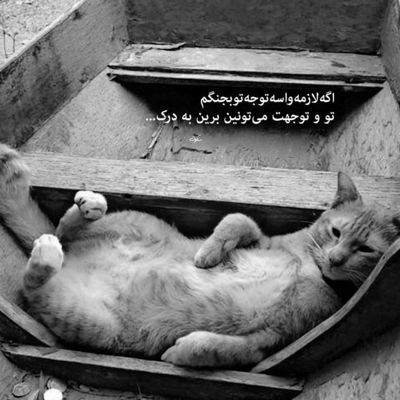 آهنگ نیمه پیدا شدمی هر جا برم با خودمی