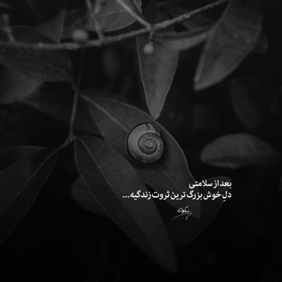 آهنگ من قول میدم یا میرسم به تو یا میمیرم دو روز بعد تو