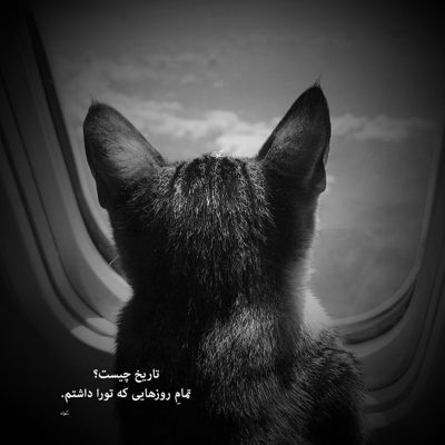 آهنگ نیومده خوب خودتو تو دل من جا میکنی