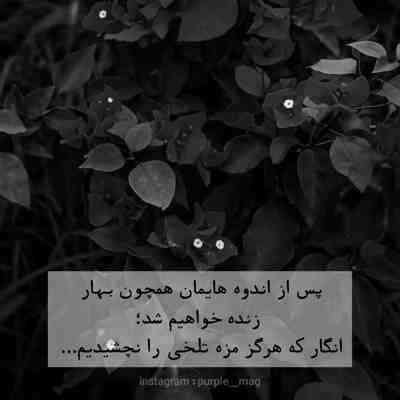 آهنگ تندی مکن با کاروان محمل بدار ای ساربان