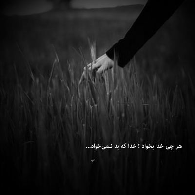 آهنگ داره رویایی میشه این شب پر ستاره بیا آرزو کنیم بارون عشق بباره