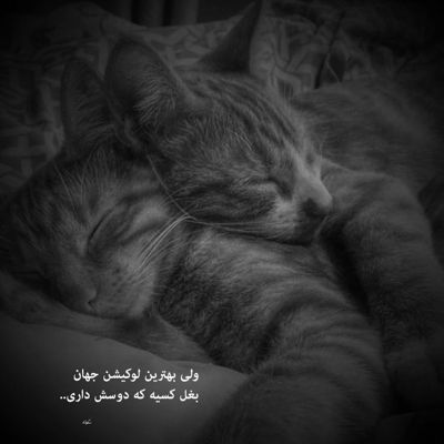 آهنگ بنازم به صورت نازت از اون آدمام هرچی بگی میرقصم به سازت