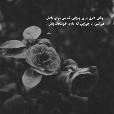 آهنگ توی باغ اون چشات سهم ما تبسمه عکس یادگاریتم نقشی از این تجسمه