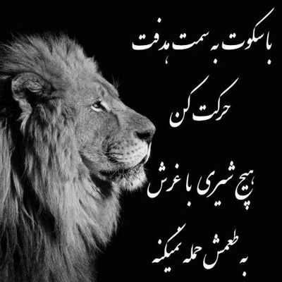 آهنگ بودن تو واسه من خود نیازه