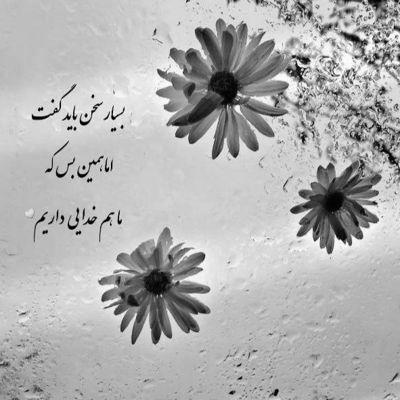 آهنگ مجنون بی لیلای توام تا به همیشه پای توام