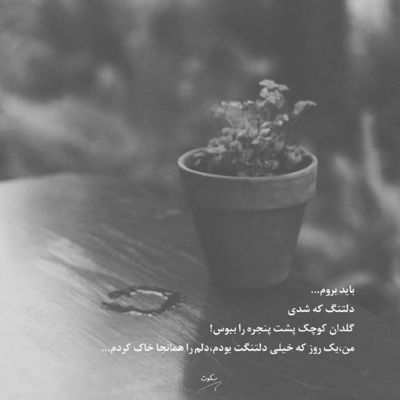 آهنگ عشقم مگه داریم اصلا این همه دلبر تو بگو کی هست واست از من عاشقتر