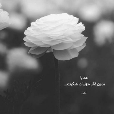 آهنگ آبی که ریختم پشت پات چند وقته گل داده به جات