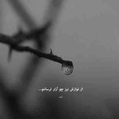 آهنگ چی میشه عاشقم شی سوار قایقم شی