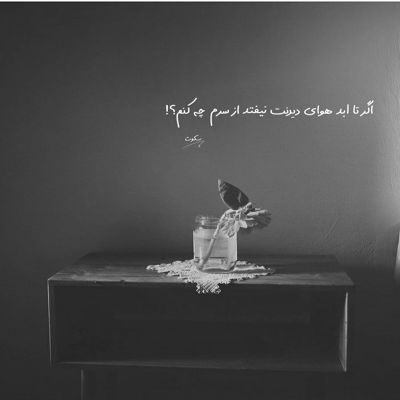 آهنگ مثل پروانه دورت میگردم عزیزم که ما لایق عشقیم