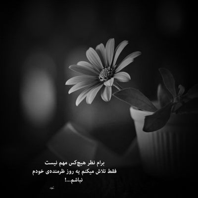 آهنگ تب تو جونمو گرفته نامیزونه نبضم