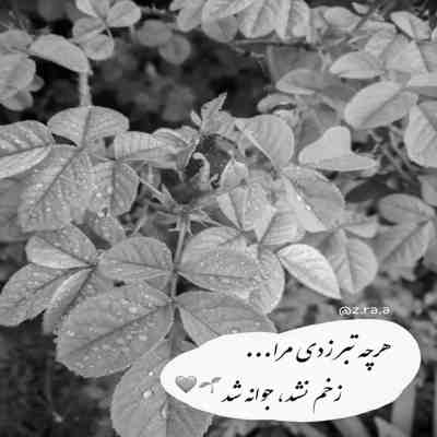 آهنگ تو این هوا فقط تو میچسبی انقده خوبی که هیچکس نی