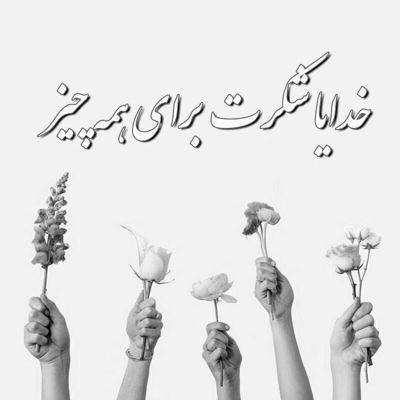 آهنگ مگه این دل دیگه بیخیالت شد مگه ول کرد