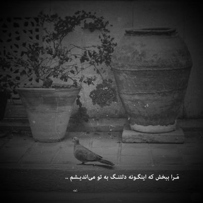 آهنگ خود دردی تو واقعا که نامردی تو چرا بد قلبی