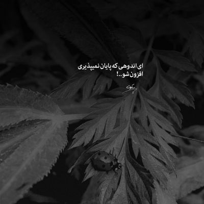 آهنگ بدجوری جات دیگه محکمه تو دلم عشقم