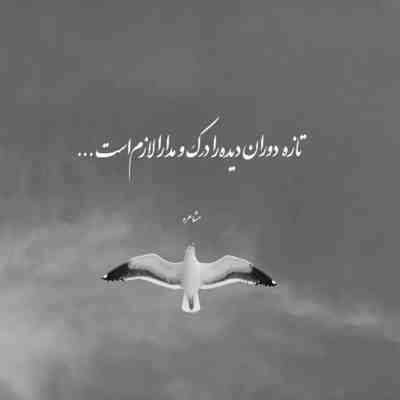 آهنگ من و با همین کارات دیوونم کردی