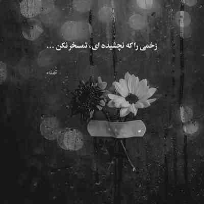 آهنگ از زمانی که تو را بین خلایق دیدم