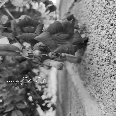 آهنگ سردم چه ساده باورت کردم شکسته قلب پر دردم