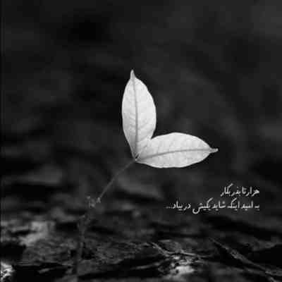 آهنگ چش عسلی بیخیال بس بکه فکرو خیال