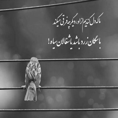 آهنگ عشق تو جدا کرده نفس را ز بدن از دست تو من دیوانه شدم