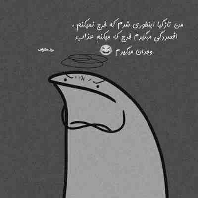 آهنگ دوتا شونه خدا داده بهت چالش من شه