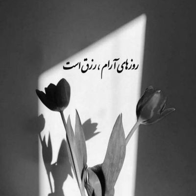 آهنگ نزار که من بمیرمو تورو ازم بگیرنو