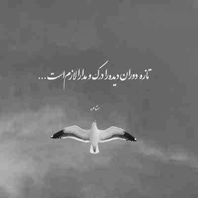 آهنگ هر شب از سقف خیالم یاد عشقت میچکد