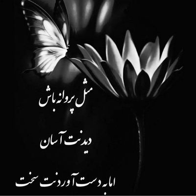 آهنگ عجب شب قشنگی تو باشی و یه جاده