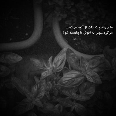 آهنگ همه چیو‌ که میزارم کنار هم میبینم نمیشه