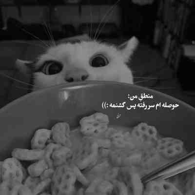 آهنگ این عشق میکشه منو آخر