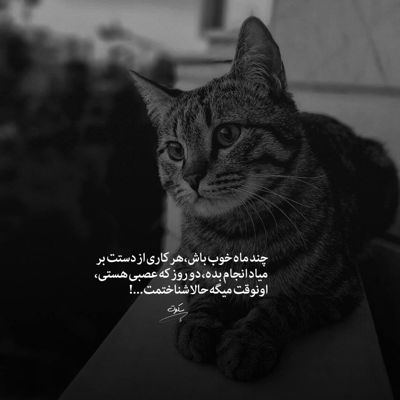 آهنگ گل که میفرستی برام میخوای از این حالم درام