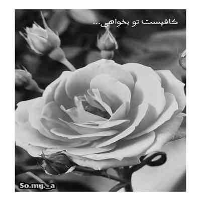 آهنگ با یه اشاره شدم اسیر او نگاهت