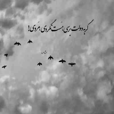 آهنگ بعد من دلبر بوی ادم فروش علی حمیدی