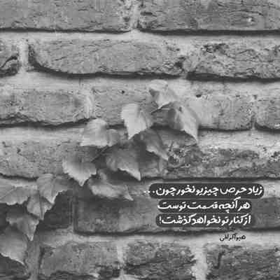 آهنگ عمر من ارام ارام تکر تکا