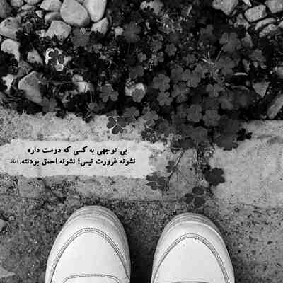 آهنگ دلبر جان منی تو واسم بال و پری تو