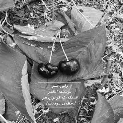 آهنگ شما همه قاتل منید آرمان گرشاسبی