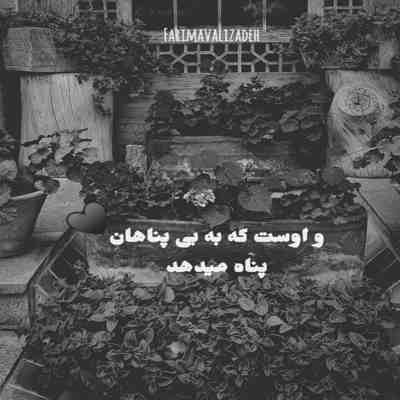 آهنگ زینو زینو زینو ما بیقرارم زینو