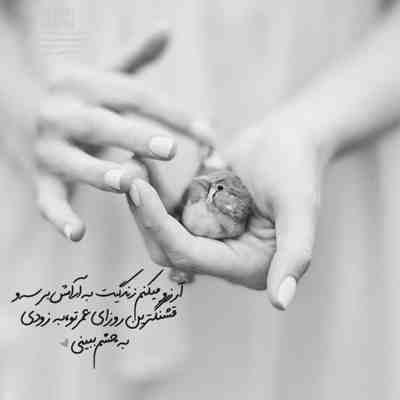 آهنگ من بی وفا ارام ارام