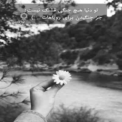 آهنگ یه صدی یه پونصدی یه نوت هزاری دی والا