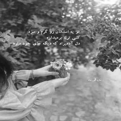 آهنگ تو لونه ای من پرندم مجید یلان